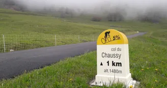 7356443.jpg