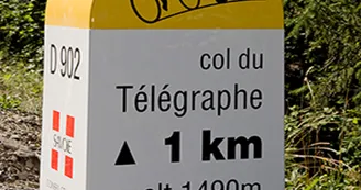 7360515.jpg