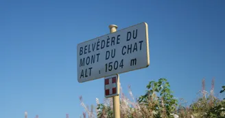 7360877.jpg