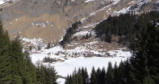 7390643.jpg
