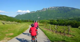 Circuit du Vignoble