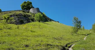 Fort