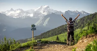 Vue sur le massif du Mont Blanc