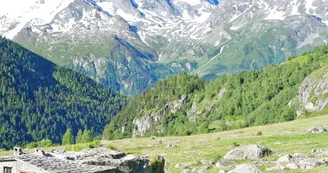 Montée de la Savonne