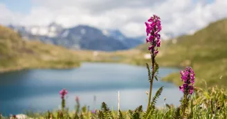 Randonnée Trois Lacs