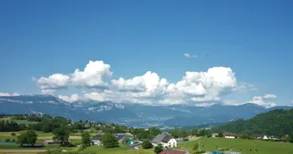 7986801.jpg