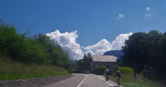 7986803.jpg 7986803.jpg