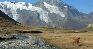Haute Route Glaciaire - Vallon du Clou 2 Haute Route Glaciaire - Vallon du Clou 2