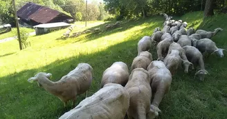 Ferme des Cathelins Ferme des Cathelins