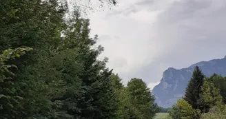 8018623.jpg
