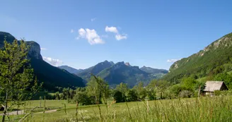 8018670.jpg