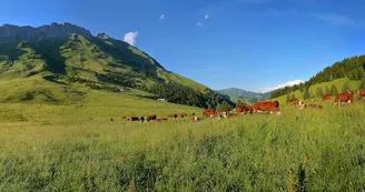 Col des Aravis