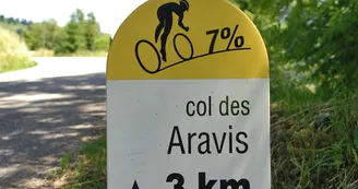 Col des Aravis - borne