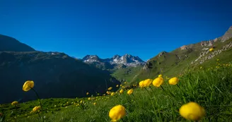 Itinéraire VAE - La vallée des Avals - Courchevel