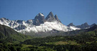 8146286.jpg 8146286.jpg