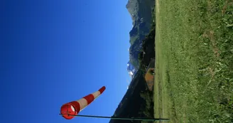 8487127.jpg