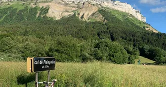Col de plainpalais