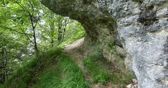 chateaurichardsentier.jpg chateaurichardsentier.jpg