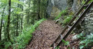 chateaurichardechelles01.jpg chateaurichardechelles01.jpg