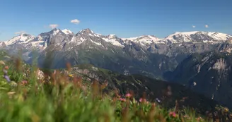 Mont Jovet A/R depuis Montangy la Thuile