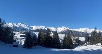 9104233.jpeg 9104233.jpeg