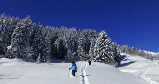 Sortie raquettes