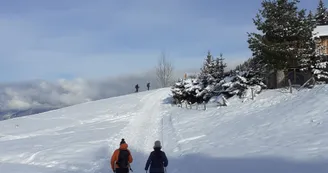 Balade à pied en hiver