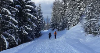 Balade à pied en hiver