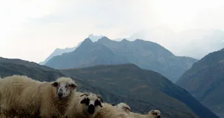 Randonnée l'Ouillon