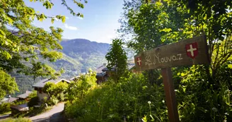Chemin du Moulin de Villaflou 1