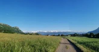 Boucle du marais des Noux
