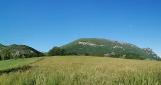 Boucle du marais des Noux