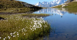 Lac des Moutons - Grand Col
