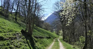 Moulin - Le Villaret par la Tachonière