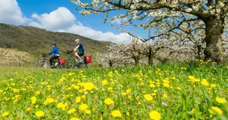 ViaRhôna aux alentours de Tournon