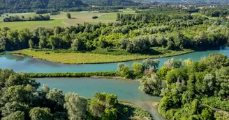 Réserve naturelle nationale du Haut-Rhône Français