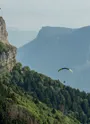 Randonnée à la Croix du Nivolet
