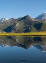 Vue Mont Blanc anguille des glaciers