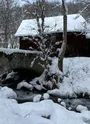 Sentier Raquettes Le Moulin