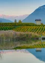 Lac St André et Vignobles du Granier