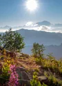 Vue en balcon sur la Chaine du Mont-Blanc - sentier de la Croix des Frêtes - La Giettaz