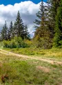 Parcours trail La Croix de Ptiouta
