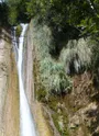 La vigne sous les Cascades