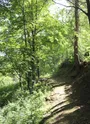Balade à la Boucle du Replat