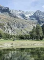 Gouille