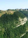 plateaurevard