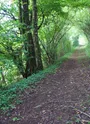 sentier Grésy-Mouxy