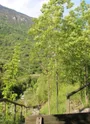 Le village de Villarnard par les Chavonnes