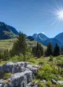 Pralognan-la-Vanoise : Plateau du Mont Bochor