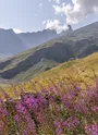 le refuge des aiguilles d'arves